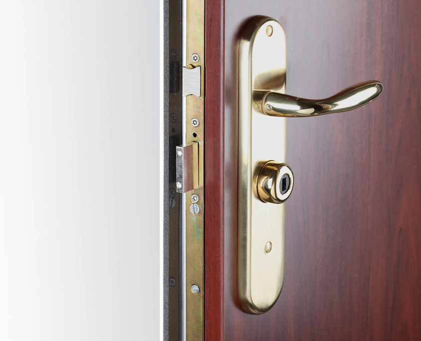 Porte blindee fichet protectdoor plus bois