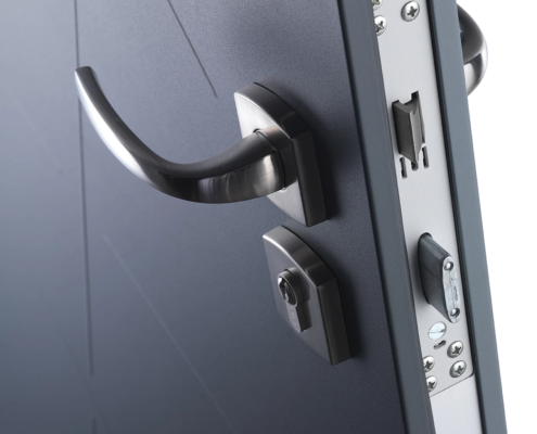 Gros plan serrure de Porte Blindée Fichet pour maison à Nice