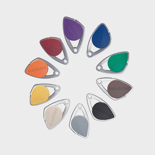 badge intratone nice